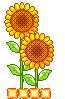 Girasol animado