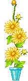 Gif Girasol
