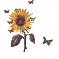 Gif Girasol