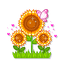 Girasol animado