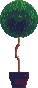 Maceta