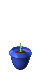 Maceta Azul