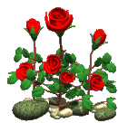 Rosas