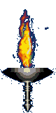 Gif Torch