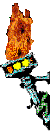 Gif Torch