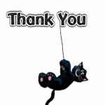 gracias