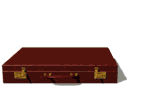 Gif de maletin