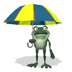 Gif de rana con paraguas