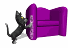 Gif gato arañando sofa