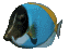 Peces