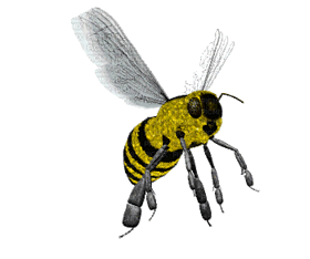 Gif de abeja