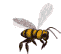 Gif de abeja
