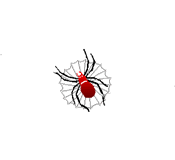Gif de araña