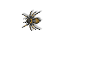 Gif araña