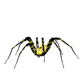Gif de araña