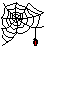 Gif de araña