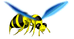 Gif de avispa
