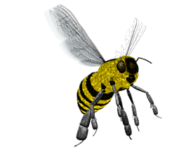 Gif avispa
