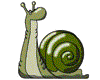Gif de caracol