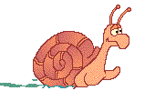 Gif de caracol