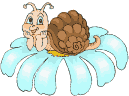 Gif de caracol