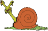 Gif de caracol