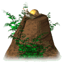 Gif caracol