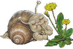 Gif de caracol