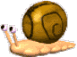 Gif caracol