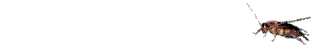 Gif cucaracha