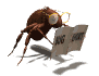 Gif escarabajo