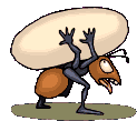 Gif de hormiga
