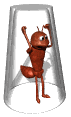 Gif de hormiga