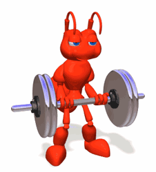 Gif de hormiga