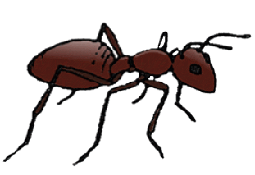 Gif de hormiga