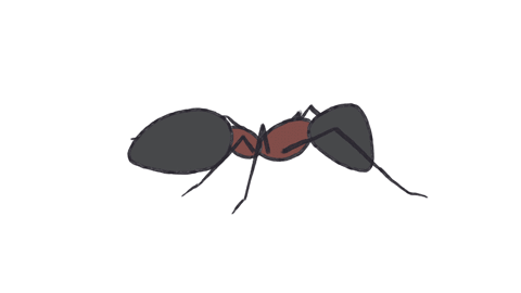 Gif de hormiga