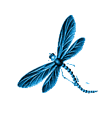 Gif de libelula