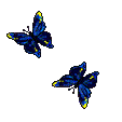 Gif de mariposa