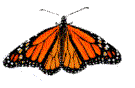 Gif de mariposa