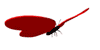 Gif de mariposa roja