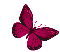 Gif de mariposa