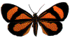 Gif de mariposa