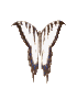 Gif de mariposa roja