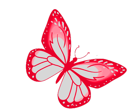 Gif de mariposa