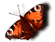 Gif de mariposa
