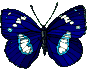 Gif de pequeña mariposa