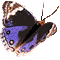 Gif de mariposa