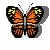 Gif de mariposa