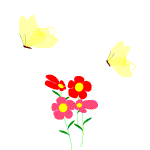Gif de mariposa
