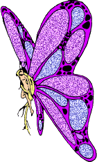 Gif de mariposa